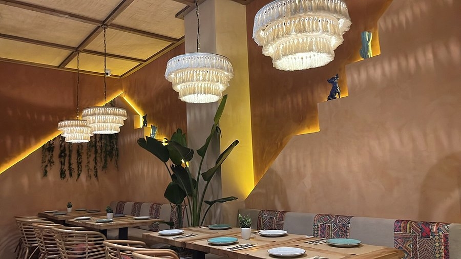 Memahami Karakteristik Chihuahua Sebagai Anjing Peliharaan